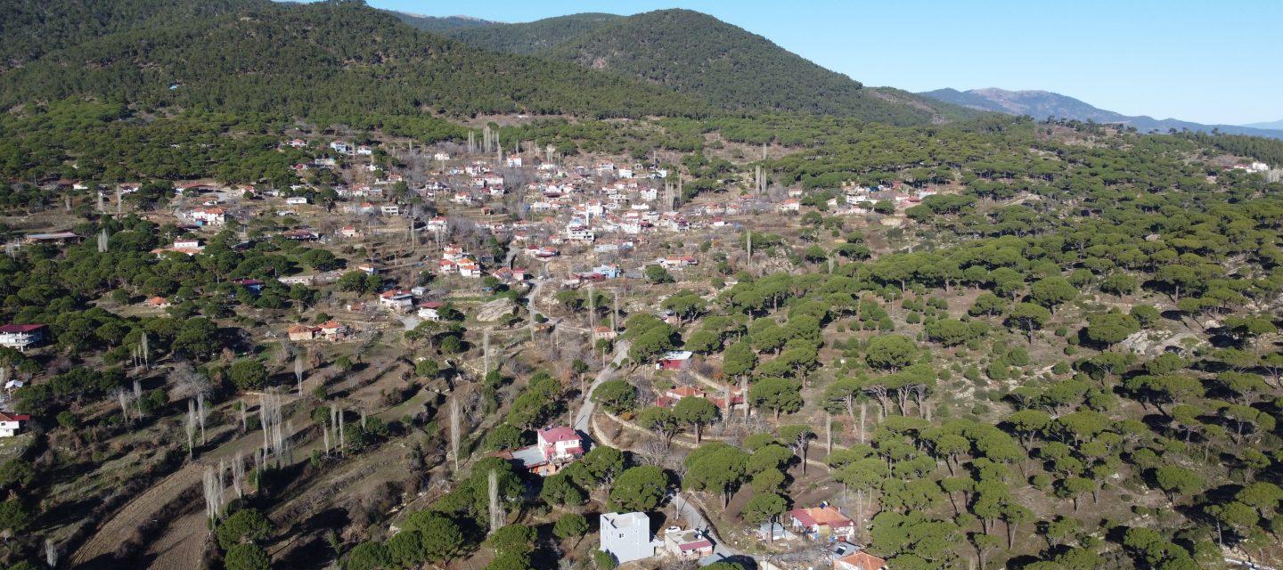 Altıntaş Mahallesi