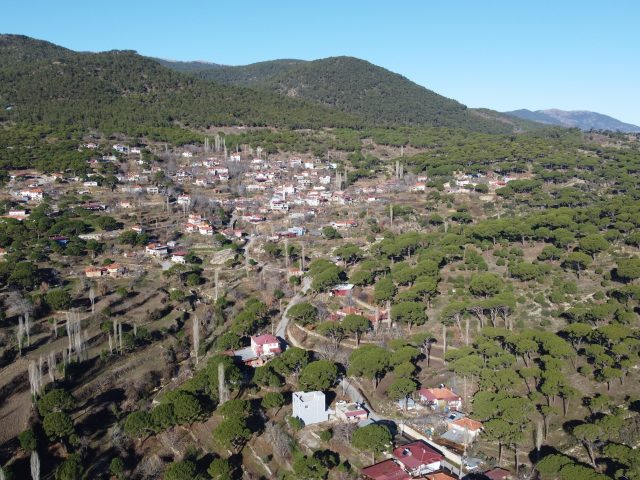 Altıntaş Mahallesi