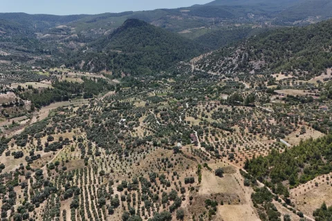 Güvenir Mahallesi