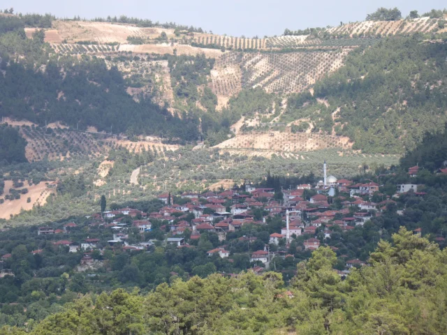 Örencik Mahallesi