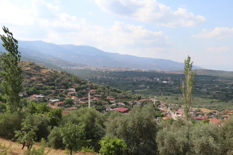 Kamışlar Mahallesi
