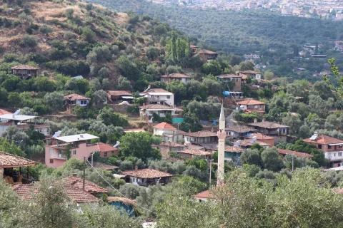 Kamışlar Mahallesi