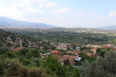 Kamışlar Mahallesi