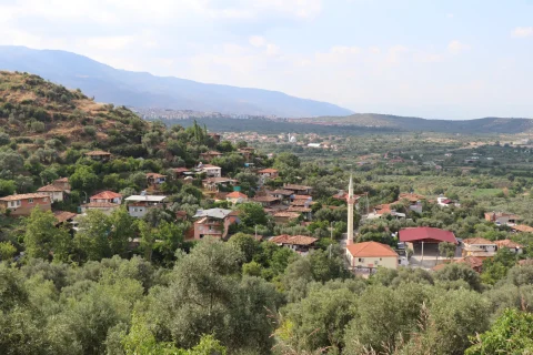 Kamışlar Mahallesi