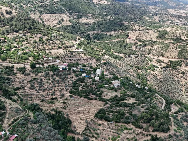 Karabağlar Mahallesi