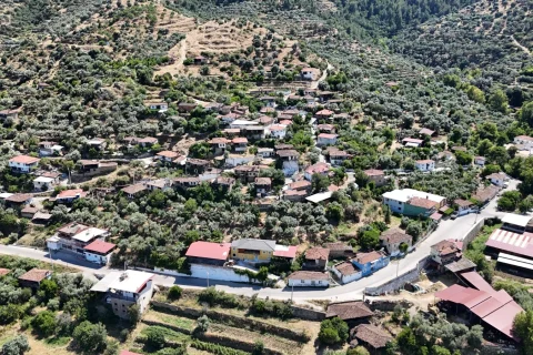 Kamışlar Mahallesi