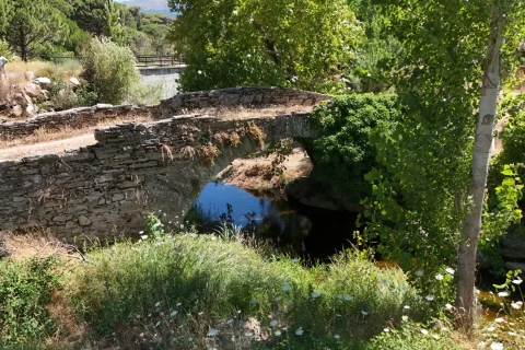 Altıntaş Mahallesi