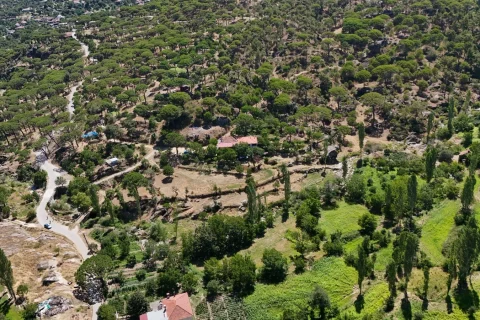 Altıntaş Mahallesi