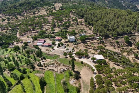 Altıntaş Mahallesi