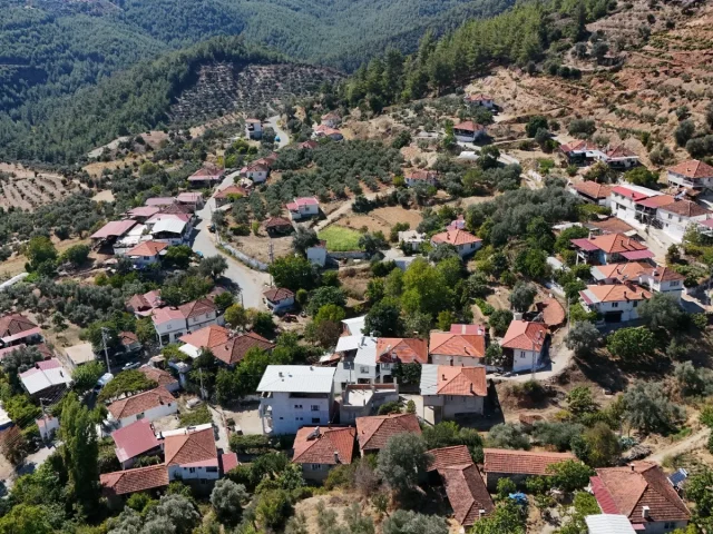 Güneyyaka Mahallesi