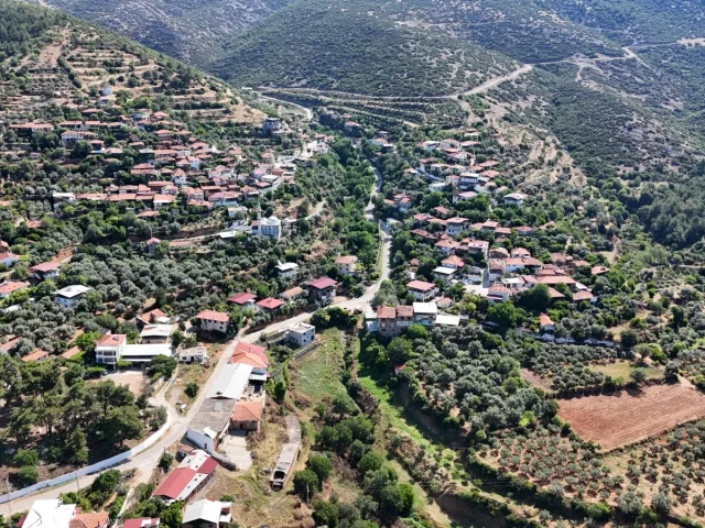 Dutağaç Mahallesi