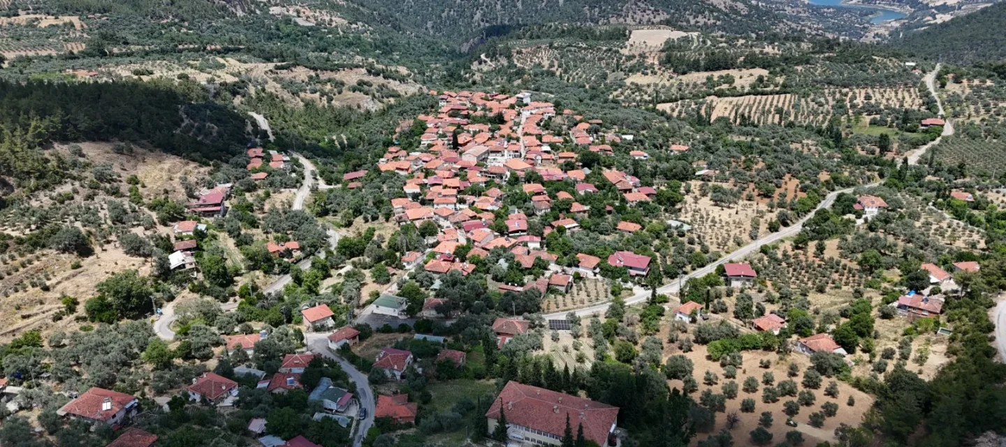 Körteke Mahallesi